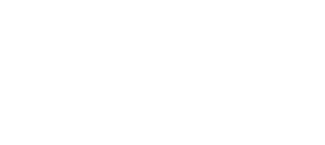 Wave Enforcer logo